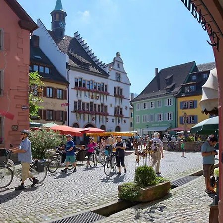 Apartment Haus God Staufen